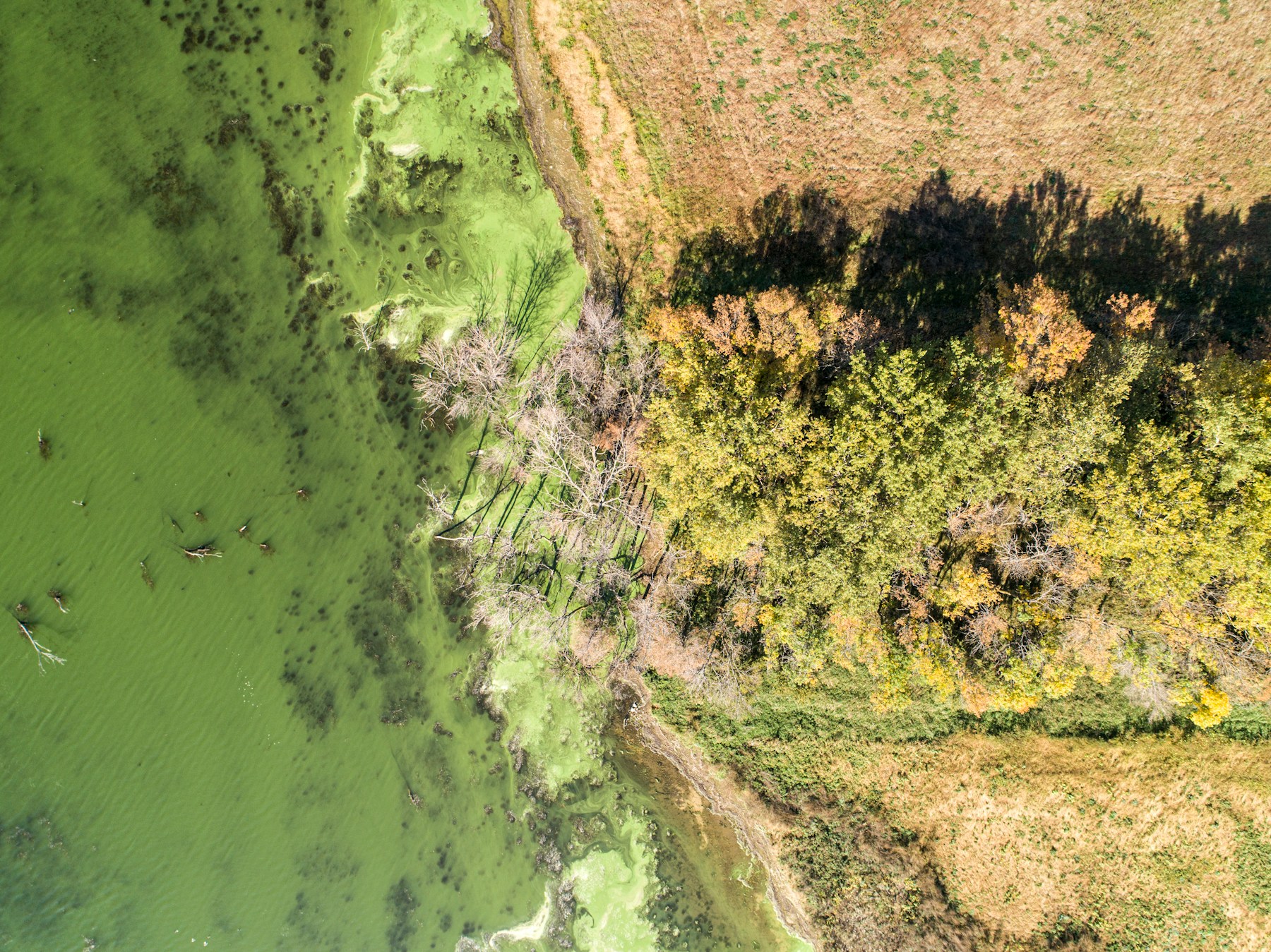 Environmental sensing landscape