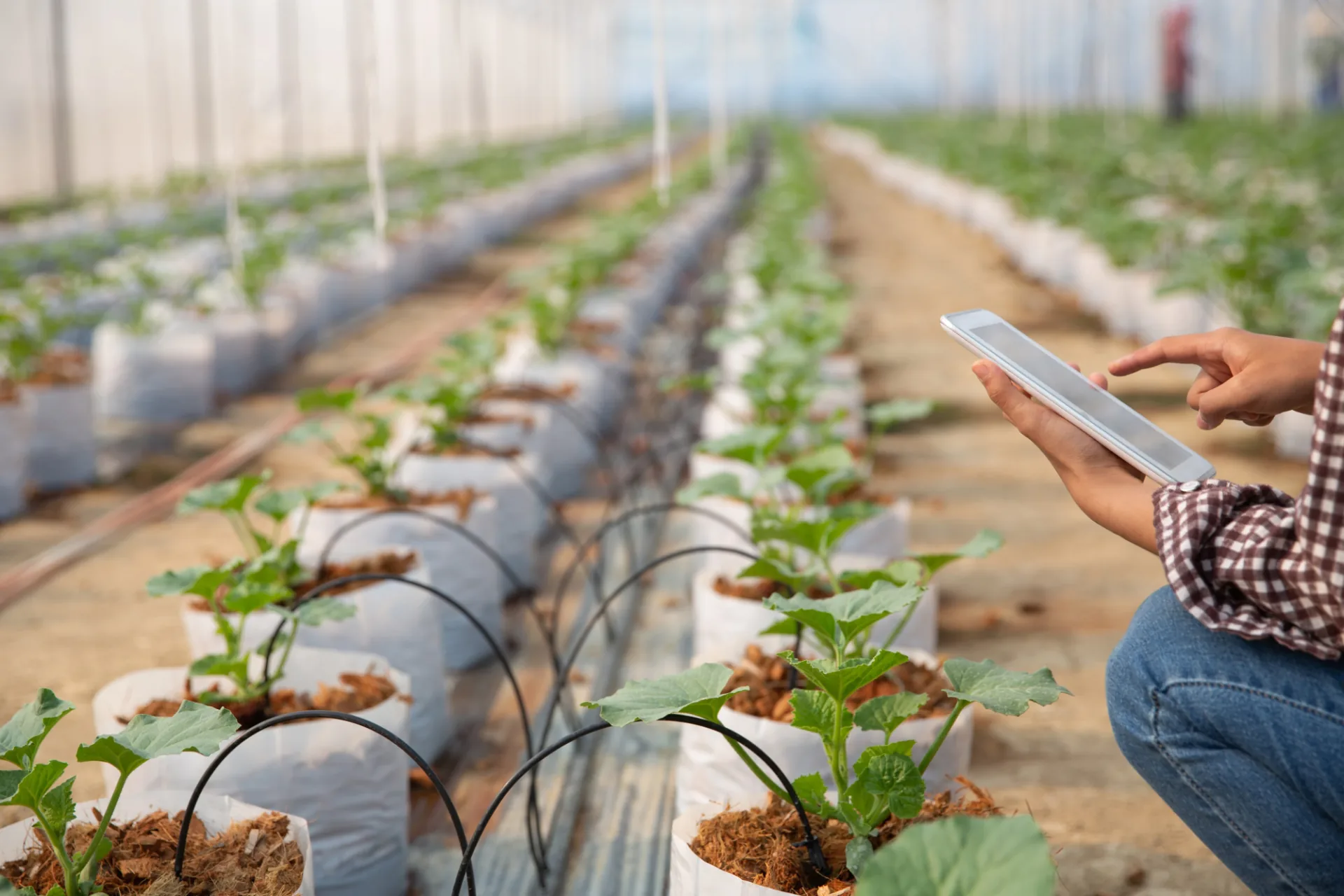 Smart Agriculture & Environmental AI Research