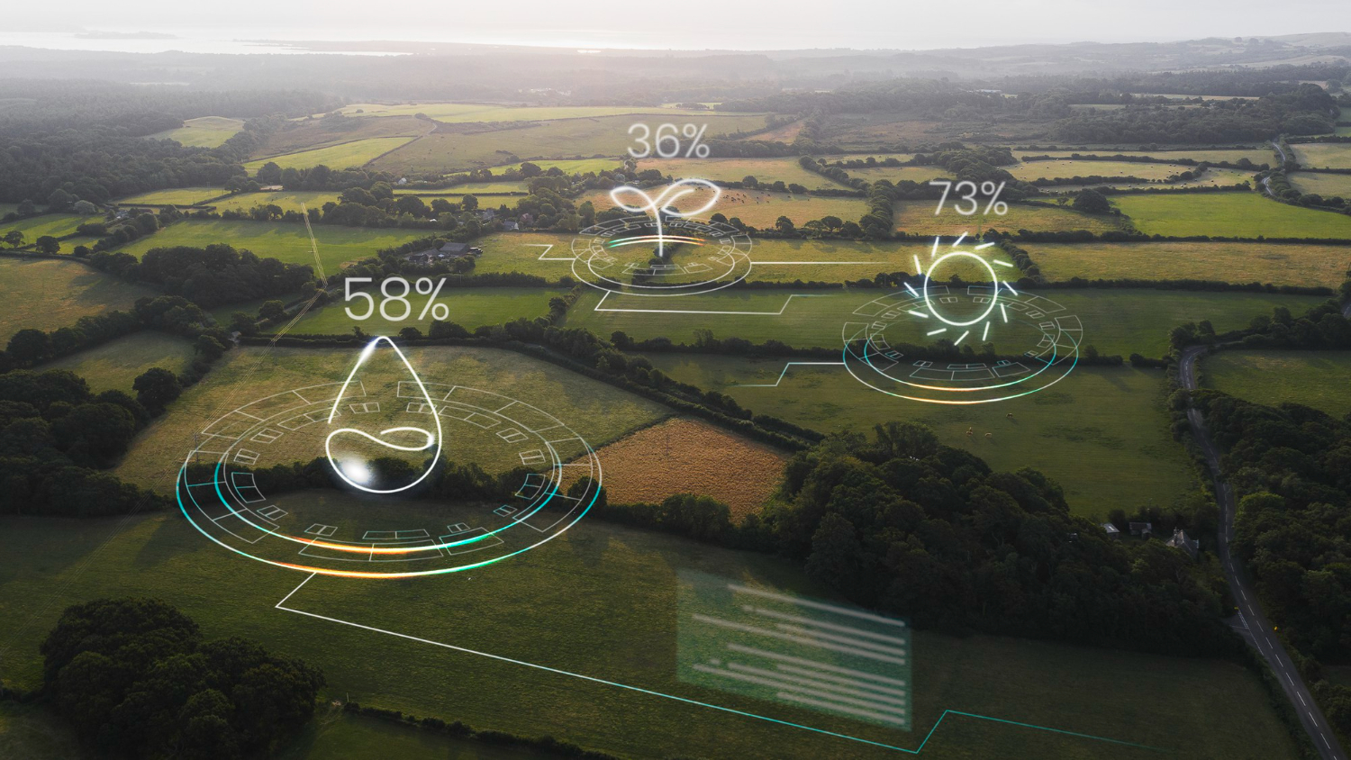 Artificial Intelligence in Ecology: Transforming Environmental Science Through Computational Intelligence
