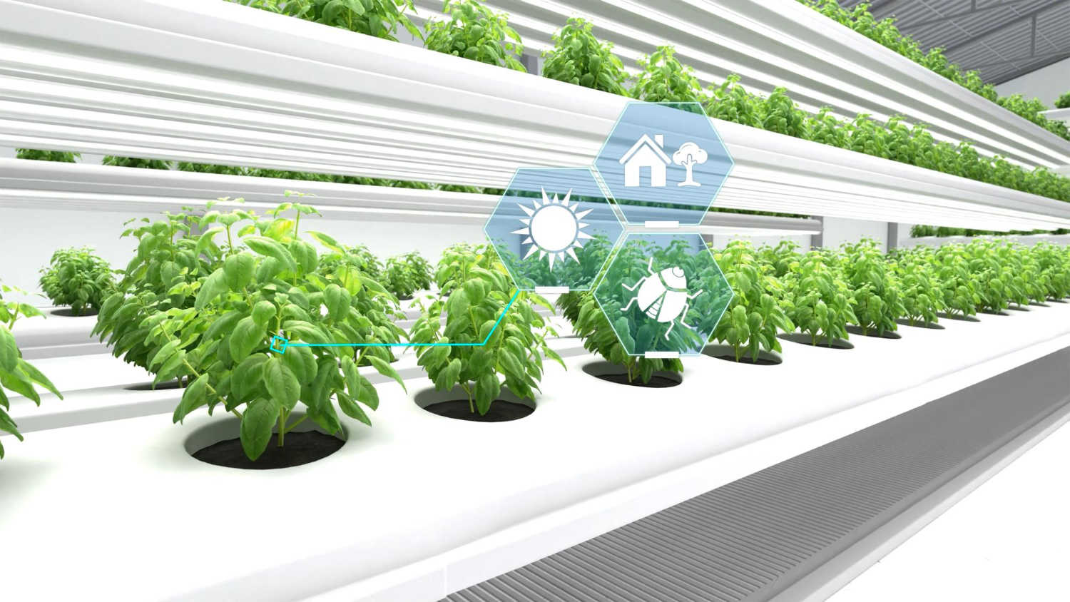 Smart Agriculture Project for School Science Fair