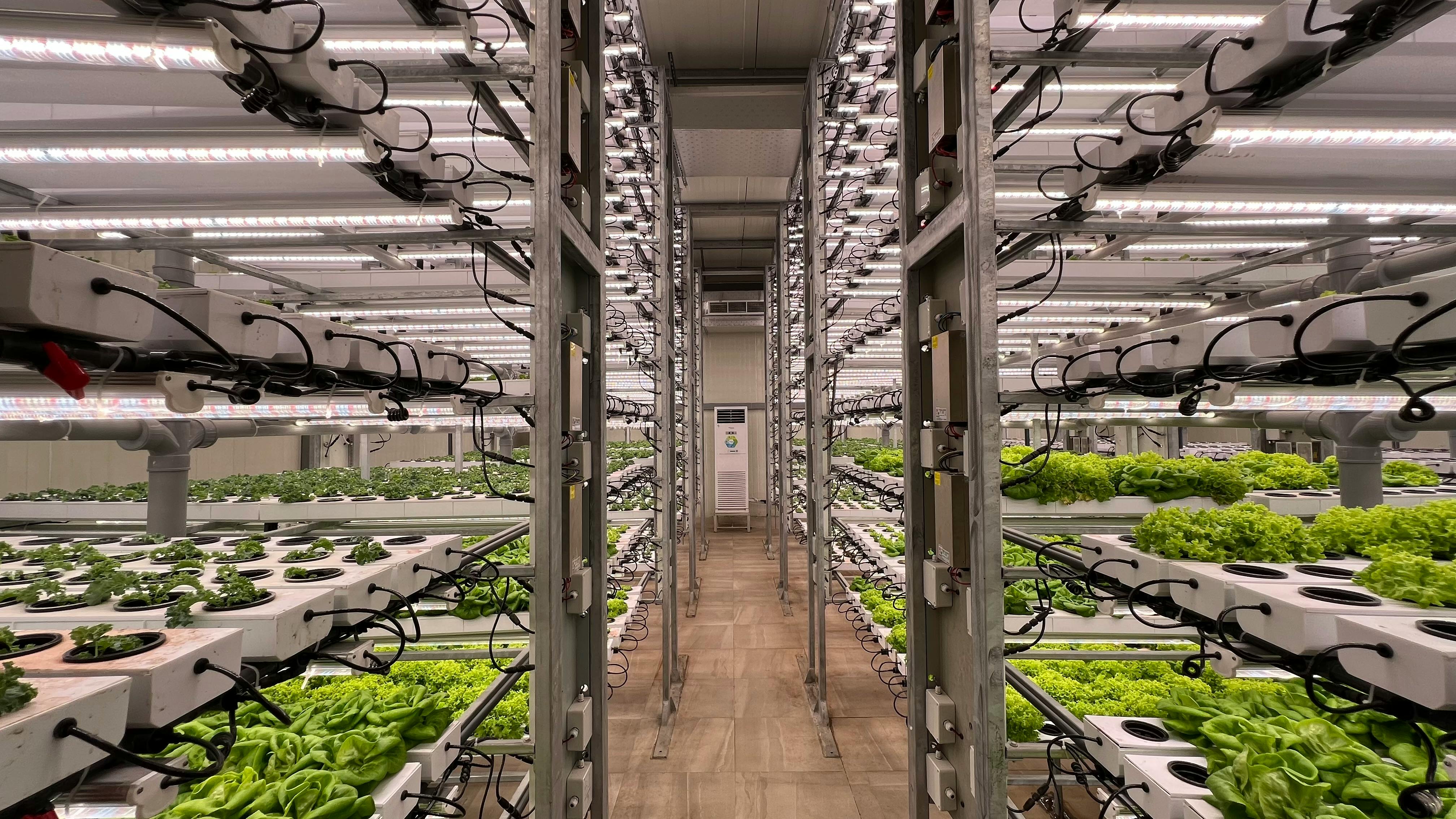 AI in Agriculture: Revolutionizing Farming for a Sustainable Future