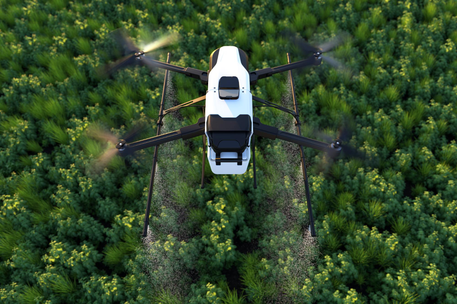 Is Artificial Intelligence the Future of Agriculture?